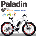 Middle Drive 48V 350W Fat Tyre Electric Bike for Sale